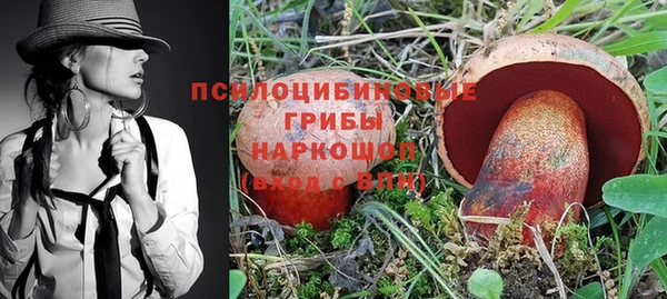 ПСИЛОЦИБИНОВЫЕ ГРИБЫ Заводоуковск