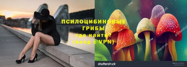 ПСИЛОЦИБИНОВЫЕ ГРИБЫ Заводоуковск