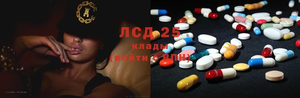 ПСИЛОЦИБИНОВЫЕ ГРИБЫ Заводоуковск