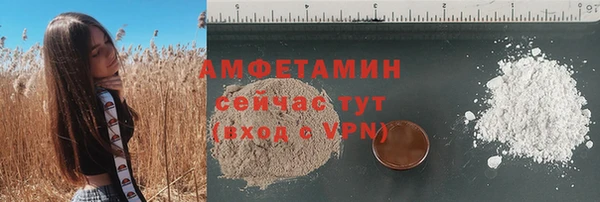 ПСИЛОЦИБИНОВЫЕ ГРИБЫ Заводоуковск