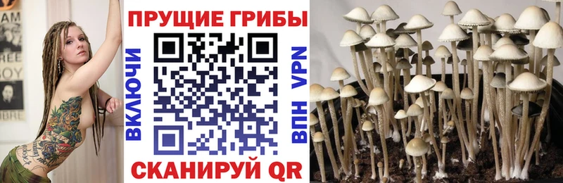 гидра ссылки  Петухово  Галлюциногенные грибы мухоморы  купить наркотики сайты 